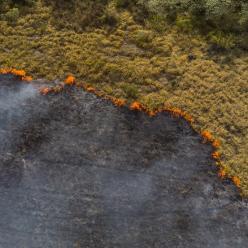 Atenção: MT lidera ranking de queimadas no Brasil