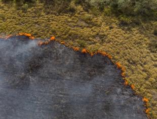 queimadas - GettyImages-1165580364