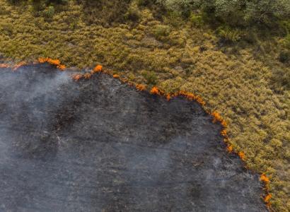 Foto: Getty Imagens