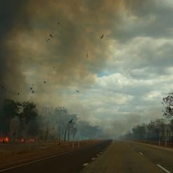 Perigo: fogo e fumaça nas estradas