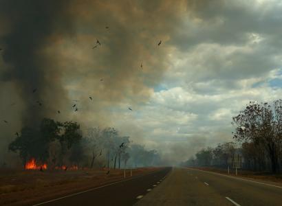 Queimada na beira da estrada (Foto: Getty Imagens)