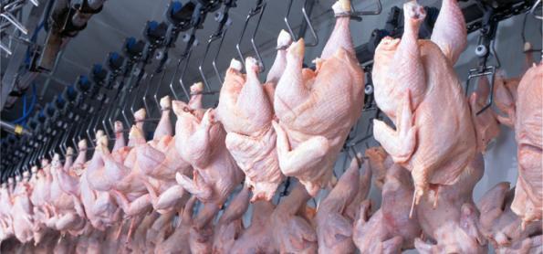Exportações de carne de frango crescem 10,6% no 1° bimestre