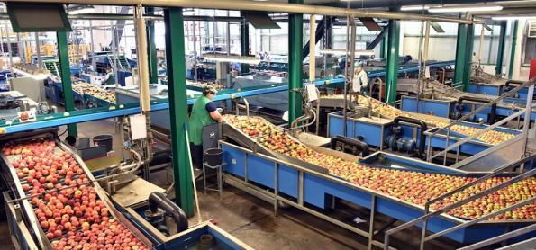 Produção na indústria crescem ﻿em maio, aponta pesquisa