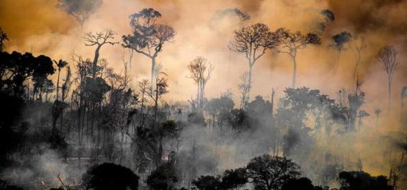 Amazônia tem maior número de incêndios em maio desde 2004