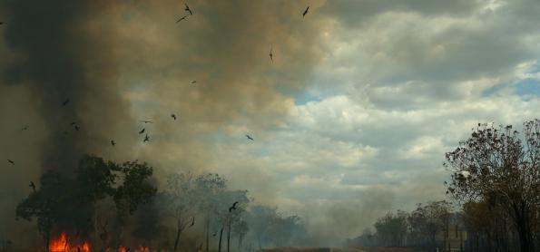 Perigo: fogo e fumaça nas estradas