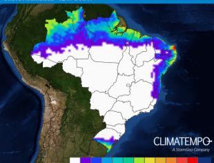 brasil3