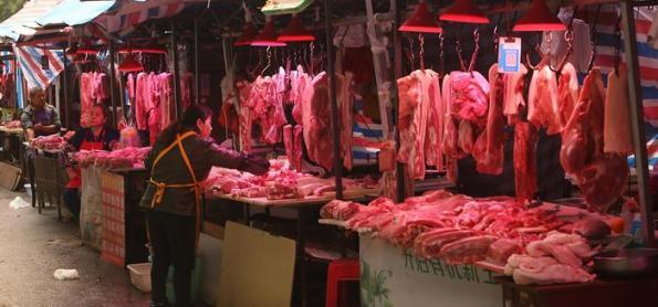 Novos estudos concluem que covid surgiu em mercado de Wuhan