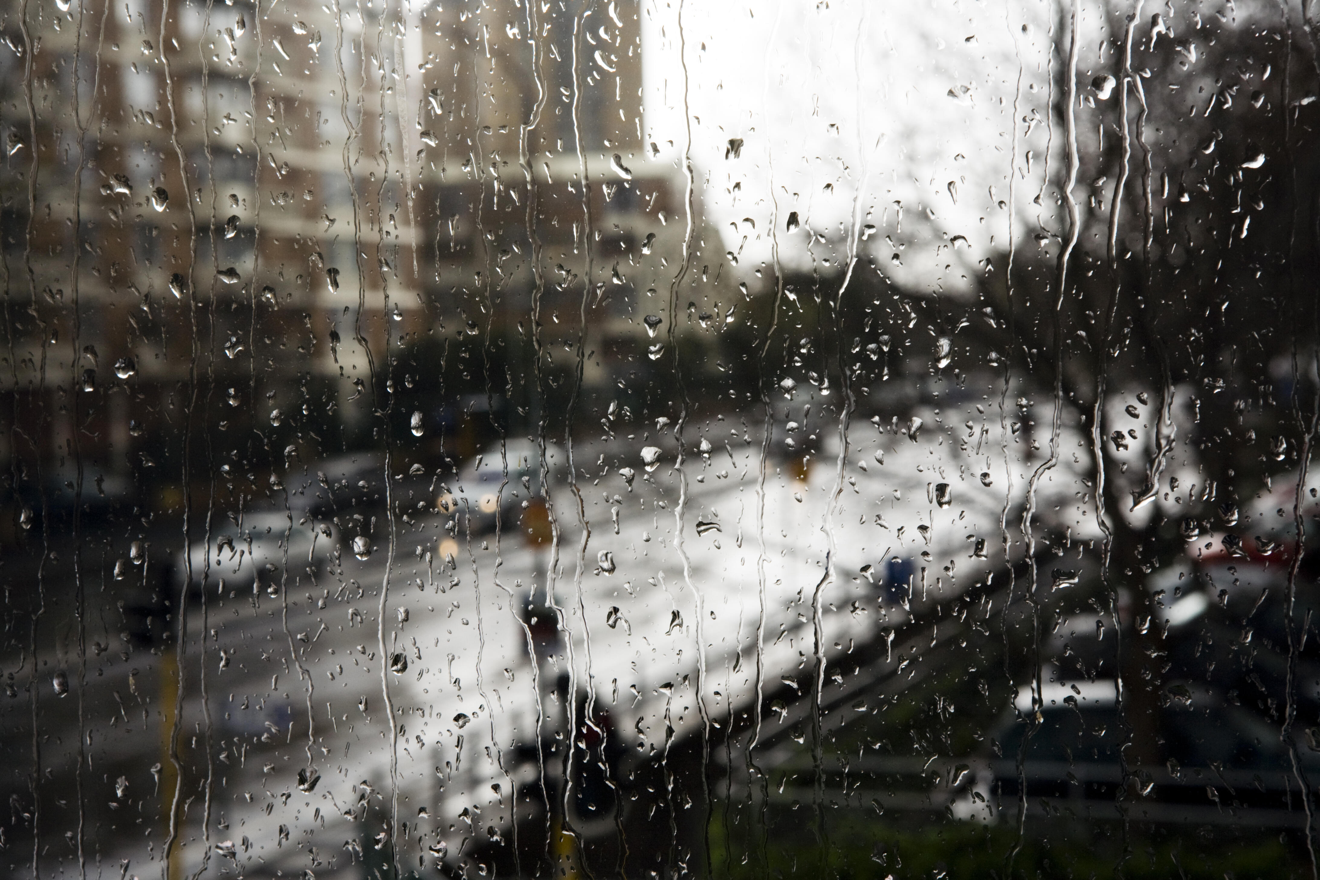 GettyImages-114313632