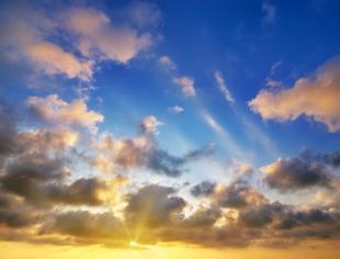 iStock-504896656
