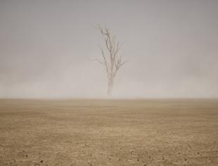 GettyImages-1296978655