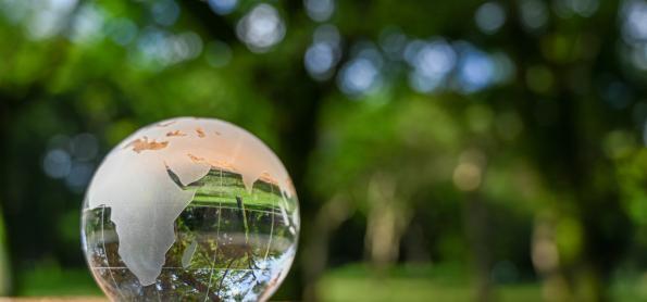 Publicado o Calendário de Ação Climática para a COP27