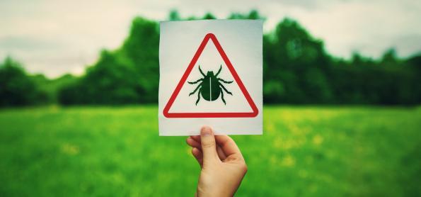 Mudança climática coloca doença de Lyme em foco na França