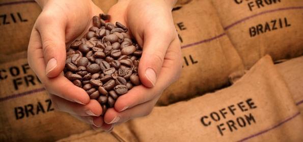 Exportações de café têm receita recorde em 2022