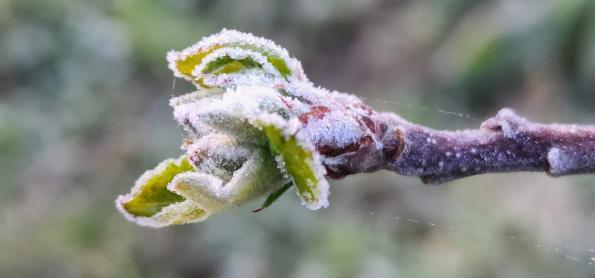 Massa de ar frio avança sobre o Sul no fim da semana