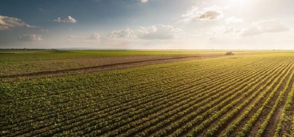 Valor da Produção Agropecuária fecha 2022 em R$ 1,189 trilhão