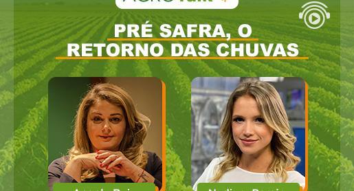 Como vai ficar o clima na pré-safra?