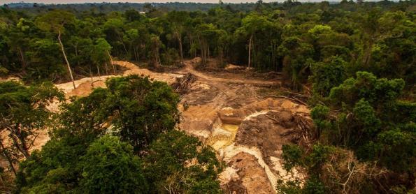Amazônia sofre maior desmatamento em 15 anos, diz Imazon