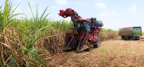Déficit hídrico na cana-de-açúcar supera 1.000 mm nesta safra