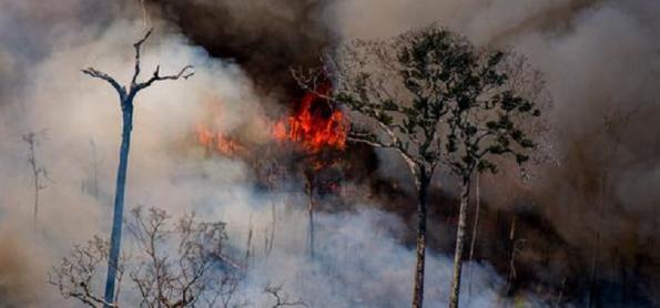 Amazônia tem 8% mais incêndios em julho em relação a 2021