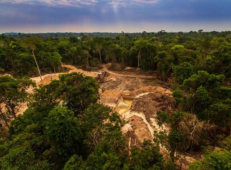 Amazônia Sofre Maior Desmatamento Em 15 Anos, Diz Imazon | Climatempo