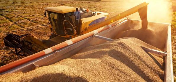 Produtor gaúcho inicia colheita da soja com atraso