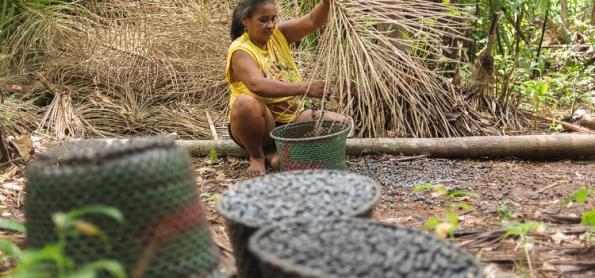 Filme Parceiros da Floresta mostra a bioeconomia da floresta