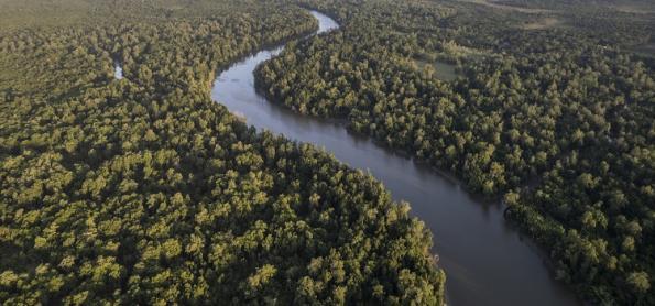 Temporada seca está mais longa na Amazônia 