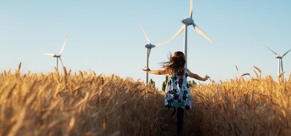 COP 27: Energia renovável também é mais comida no prato