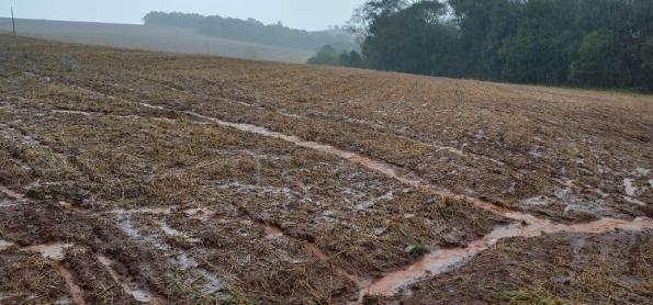 Chuva lava a roça e deixa produtora ilhada no oeste do SC 