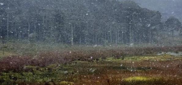 Frio atípico em novembro: primeiros dias com geada e neve no Sul