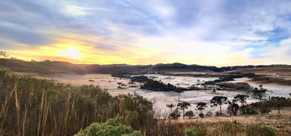 Frio tardio com geada: Ar polar derruba temperatura no Sul