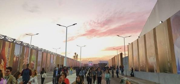 Especial COP-27: as mudanças climáticas e o Agro