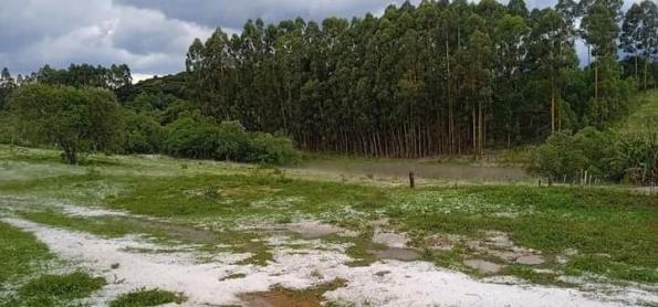 Granizo atinge lavouras de café no sul de Minas Gerais  