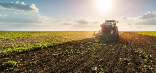 Plantio da soja avança em Mato Grosso