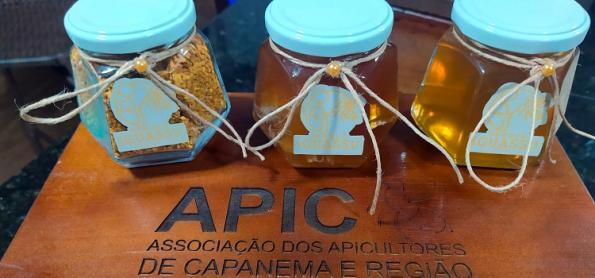 Mel de espécies do Parque Nacional do Iguaçu é diferenciado