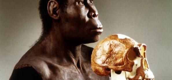 Humanos pré-históricos já cozinhavam 780 mil anos atrás