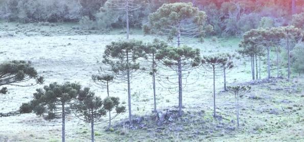 Após o frio recorde de novembro, ainda pode esfriar em dezembro?