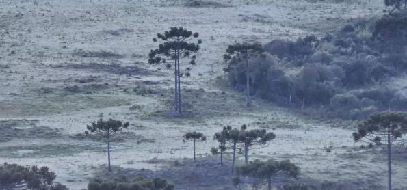 Novembro com geada em Santa Catarina