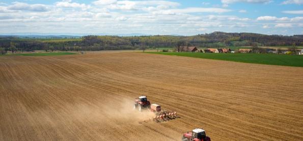 Produtos agropecuários apresentam desaceleração de preços