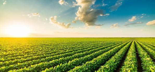 O La Niña irá continuar no Verão 2022/23?