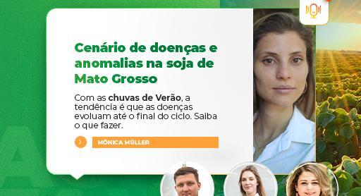 Cenário das doenças e anomalias na soja de Mato Grosso