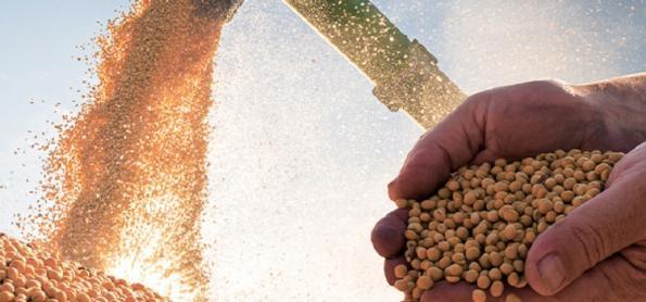 Estresse hídrico marca safra de soja 22/23