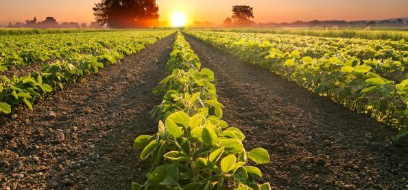 Verão 2023 e a influência no agro