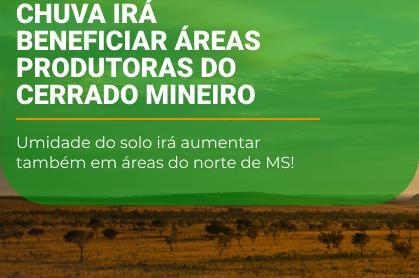 Chuva irá beneficiar áreas produtoras do cerrado mineiro