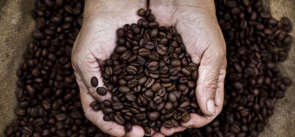 Chuva pode impactar áreas produtoras de café no ES