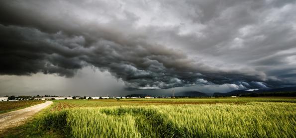 Verão começa com invernada em algumas áreas produtoras