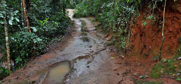 Petrópolis (RJ) terá mais chuva nos próximos dias