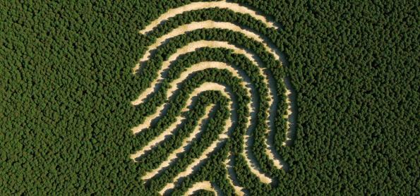 Práticas sustentáveis na agricultura