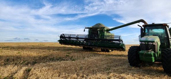 Safra de trigo é a maior da história do Rio Grande do Sul 