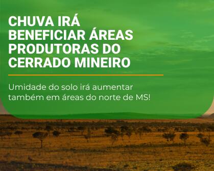 https://imagens.climatempo.com.br/climapress/galeria/2022/12/a3077f46bea3d828dea393edaab4398b.jpg